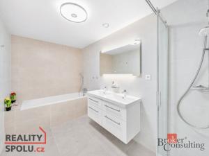 Pronájem bytu 5+kk, Plzeň, U Borského parku, 118 m2