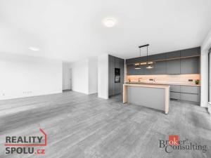 Pronájem bytu 5+kk, Plzeň, U Borského parku, 118 m2