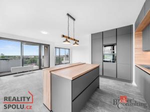 Pronájem bytu 5+kk, Plzeň, U Borského parku, 118 m2
