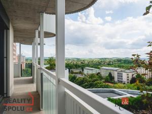 Pronájem bytu 5+kk, Plzeň, U Borského parku, 118 m2