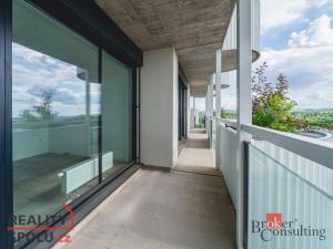 Pronájem bytu 5+kk, Plzeň, U Borského parku, 118 m2