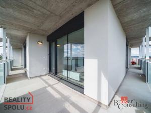 Pronájem bytu 5+kk, Plzeň, U Borského parku, 118 m2
