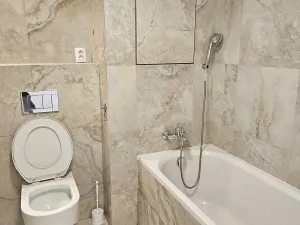 Pronájem bytu 1+1, České Budějovice, Nová, 39 m2