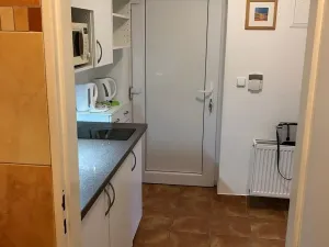 Pronájem bytu 1+kk, Černolice, Hlavní, 30 m2