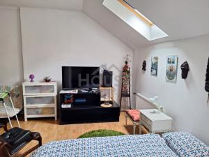 Prodej bytu 2+1, Praha - Staré Město, Perlová, 82 m2