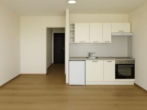 Pronájem bytu 1+kk, Brno, Čejkovická, 33 m2