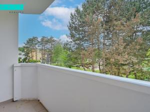 Prodej bytu 3+1, Olomouc - Nová Ulice, V hlinkách, 64 m2