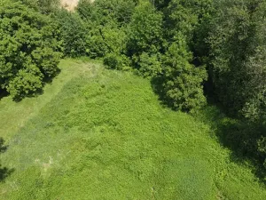 Prodej zahrady, Ostrava, 7795 m2