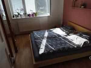 Pronájem bytu 2+1, Prostějov, nám. Spojenců, 60 m2
