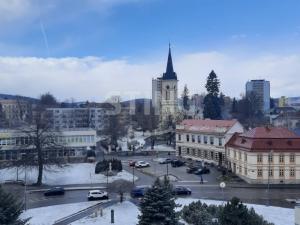 Pronájem bytu 1+1, Nové Město na Moravě, Budovatelů, 40 m2