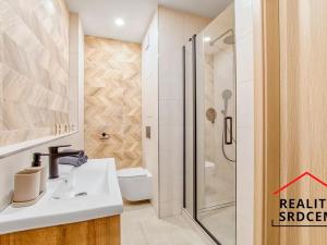 Pronájem bytu 1+1, Karviná, Nedbalova, 42 m2