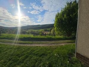 Prodej zahrady, Kalivody, 3906 m2