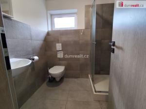 Pronájem bytu 1+kk, Dobrovice, Na Hložku, 28 m2
