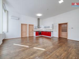 Pronájem bytu 3+kk, Plzeň - Jižní Předměstí, Prokopova, 89 m2
