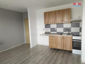 Pronájem bytu 1+kk, Příbram - Příbram VIII, Čechovská, 24 m2
