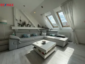 Prodej ubytování, Olomouc - Nové Sady, Rooseveltova, 302 m2