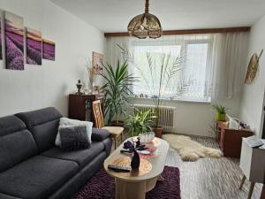 Prodej bytu 2+1, Lipová-lázně, 56 m2
