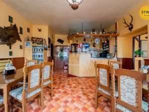 Prodej komerční nemovitosti, Horní Město - Rešov, 600 m2