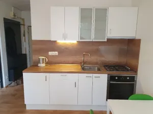 Pronájem bytu 1+1, Jihlava, Březinova, 42 m2