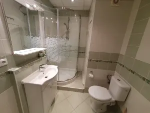 Pronájem bytu 1+1, Jihlava, Březinova, 42 m2