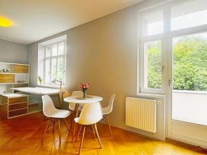Pronájem bytu 1+kk, Brno, Úvoz, 51 m2