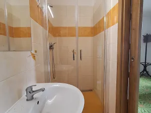 Pronájem bytu 1+1, Plzeň, Bohuslava Martinů, 35 m2