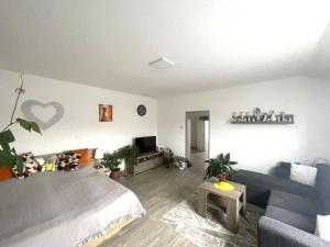 Pronájem bytu 2+kk, Tábor - Klokoty, Lidická, 54 m2