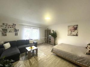 Pronájem bytu 2+kk, Tábor - Klokoty, Lidická, 54 m2