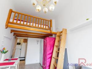 Pronájem bytu 1+kk, Karlovy Vary, nábřeží Jana Palacha, 20 m2