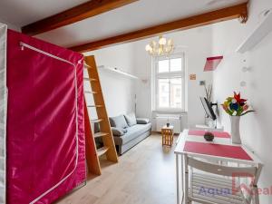 Pronájem bytu 1+kk, Karlovy Vary, nábřeží Jana Palacha, 20 m2