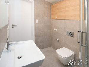 Pronájem bytu 2+kk, Praha - Žižkov, Rixdorfská, 55 m2