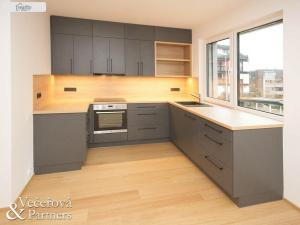 Pronájem bytu 2+kk, Praha - Žižkov, Rixdorfská, 55 m2