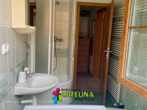 Pronájem bytu 1+kk, Dobrá Voda u Českých Budějovic, Lázeňská, 30 m2