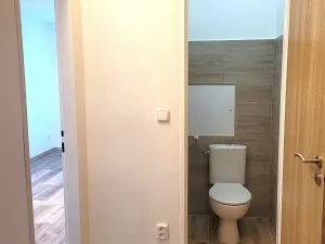Pronájem bytu 1+1, Ostrava, U Hřiště, 44 m2