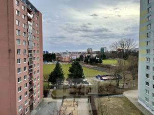 Pronájem bytu 1+1, Brno, 35 m2