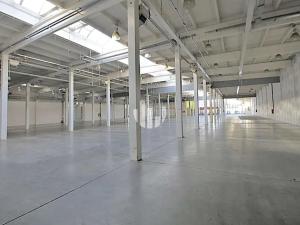 Pronájem obchodního prostoru, Liberec, Doubská, 6170 m2