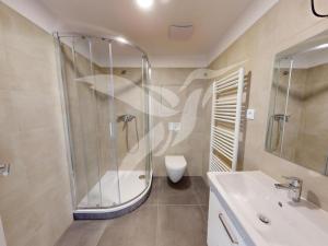 Pronájem bytu 1+kk, Plzeň, Baarova, 28 m2