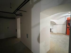 Prodej obchodního prostoru, Praha, Vysočanská, 280 m2