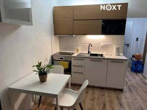 Pronájem bytu 1+kk, Karviná, Studentská, 29 m2