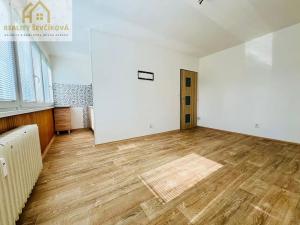 Pronájem bytu 1+kk, Hradec Králové, Severní, 28 m2