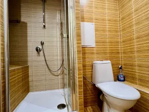 Pronájem bytu 1+kk, Hradec Králové, Severní, 28 m2