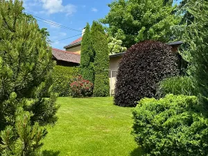 Pronájem bytu 2+kk, Liberec, Zhořelecká, 48 m2