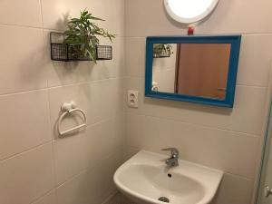 Pronájem bytu 1+kk, Neveklov, náměstí Jana Heřmana, 40 m2