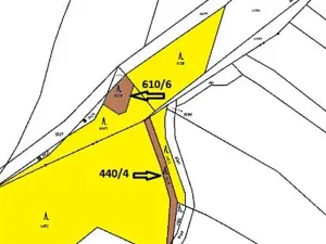 Prodej lesa, Pelhřimov, 536 m2