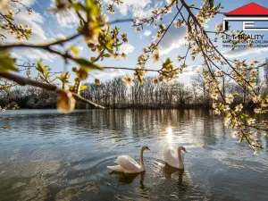 Prodej bytu 4+kk, Brno - Holásky, 89 m2