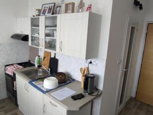 Pronájem bytu 1+1, Třebíč, Jar. Ježka, 34 m2