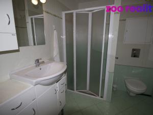 Pronájem bytu 2+kk, České Budějovice, U Lučního jezu, 51 m2