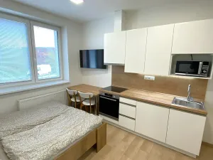 Pronájem bytu 1+kk, Zlín, Štefánikova, 24 m2