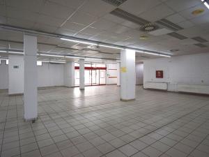Pronájem obchodního prostoru, Plzeň - Lobzy, Sousedská, 1250 m2