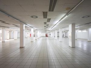 Pronájem obchodního prostoru, Plzeň - Lobzy, Sousedská, 1250 m2